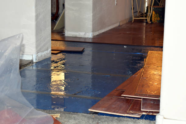 Professional Burst Pipe Water Damage technician working in Corea, ME